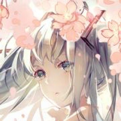 华为大阔折真香